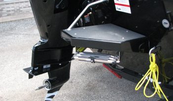 2022-1750 Fish Hawk Walk Through Windshield full