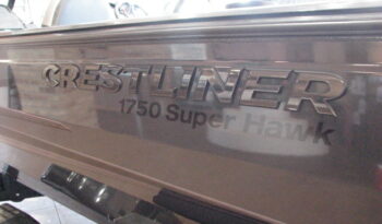 2023- 1750 Super Hawk w/115 Mercury Pro XS full