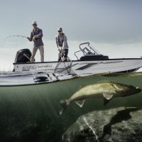 hi_1850-fish-hawk-wt-fishing
