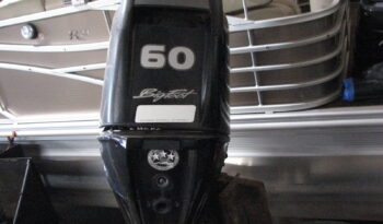 mini-IMG_3599