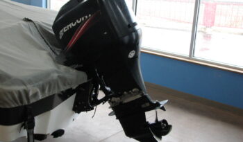 2006 Sierra 17′ Bowrider with 115 Mercury 4 stroke outboard full