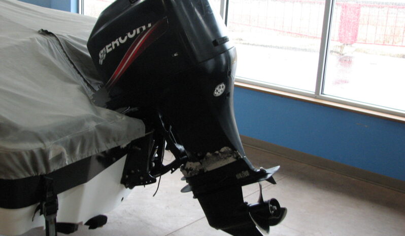 2006 Sierra 17′ Bowrider with 115 Mercury 4 stroke outboard full