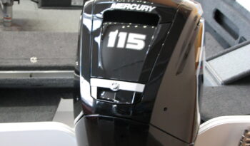SUMMER SALE-2023 1750 Fish Hawk w/115 Mercury full