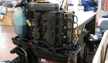 Just in-Mercury 40ELPTO full