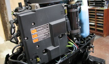 Just in-Mercury 40ELPTO full