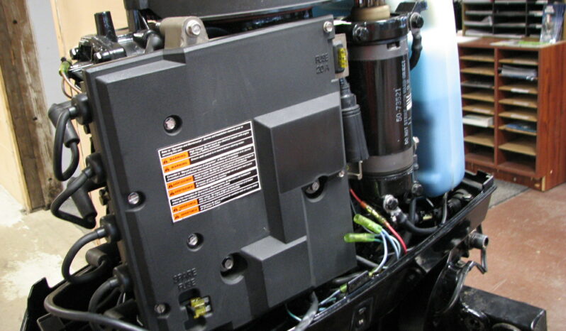 Just in-Mercury 40ELPTO full