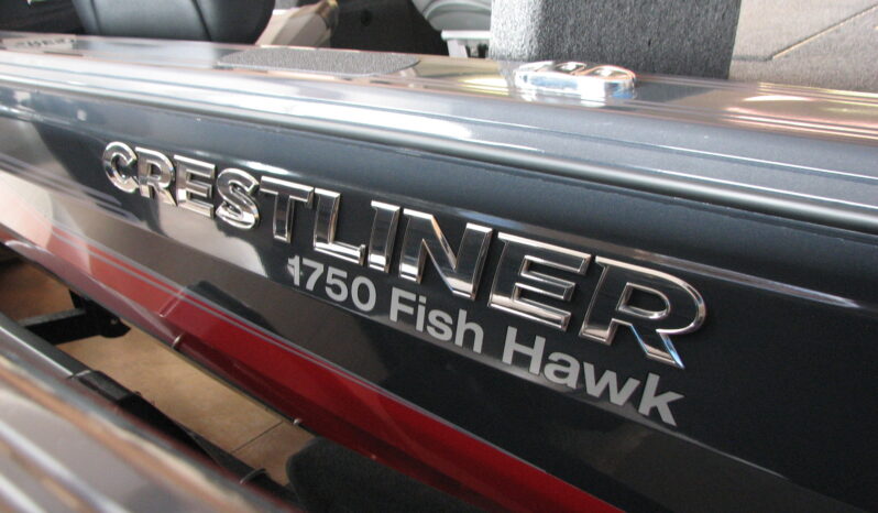2024-1750 Fish Hawk Walk Through with 115 Mercury Pro XS full
