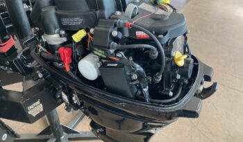 Mercury 2011 20ELH Tiller full