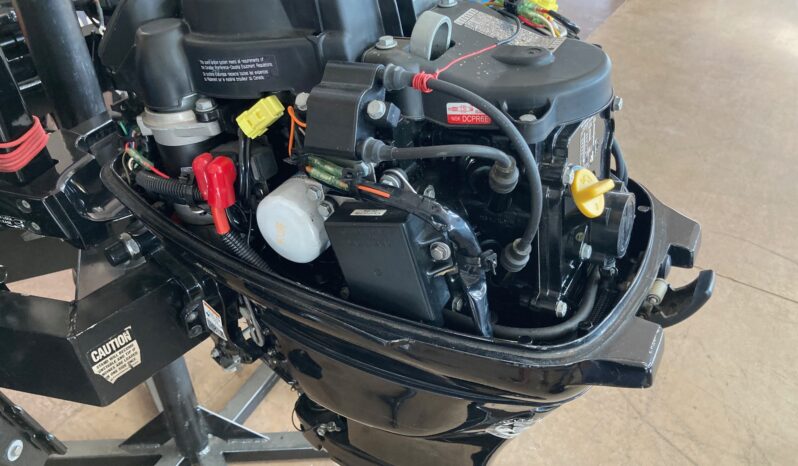 Mercury 2011 20ELH Tiller full