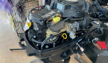 Mercury 2011 20ELH Tiller full