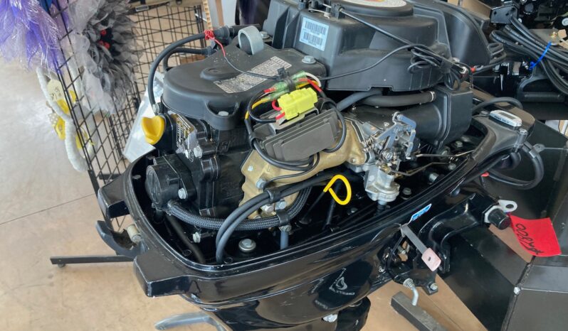 Mercury 2011 20ELH Tiller full