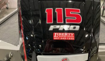 2026 XF189 with 115 Mercury Pro XS full