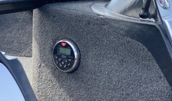 2015 STARWELD 18 W/115HP MERCURY full